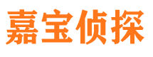 阜宁找人公司